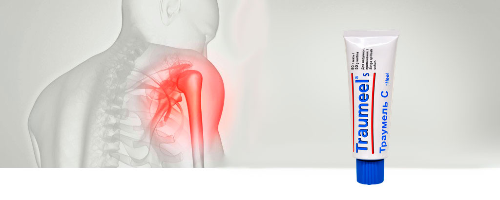 Traumeel® Cream